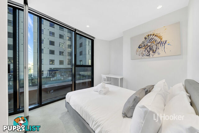 1202/442-450 Elizabeth Street MELBOURNE VIC 3000