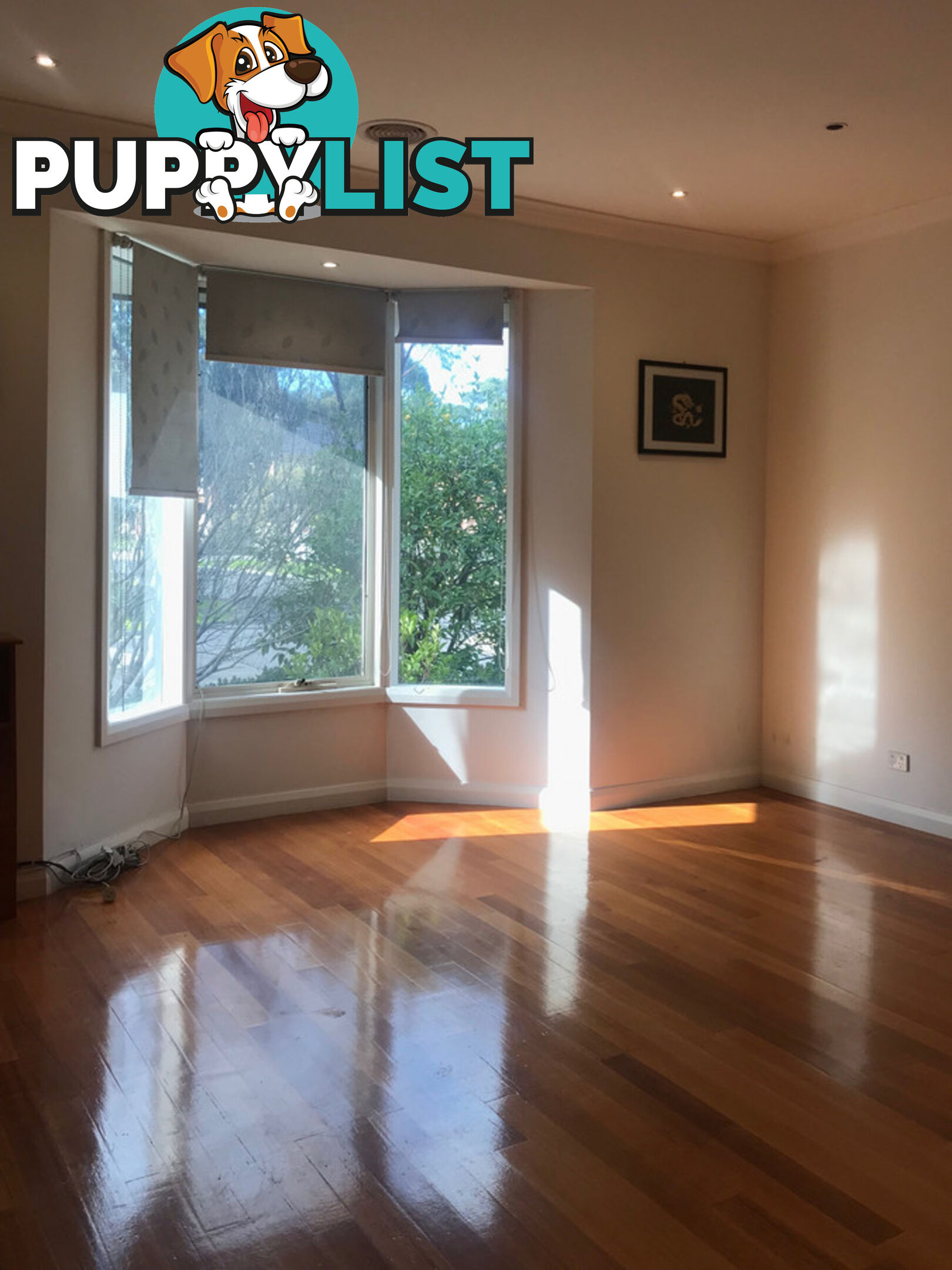 2 Di Palma Place BUNDOORA VIC 3083