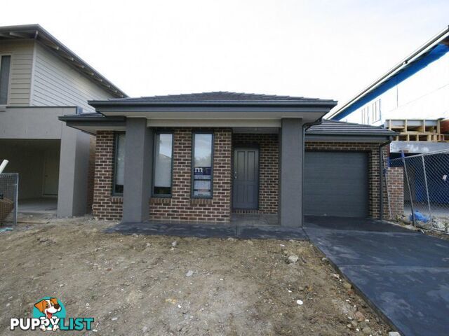 62 Ronald Street COBURG NORTH VIC 3058