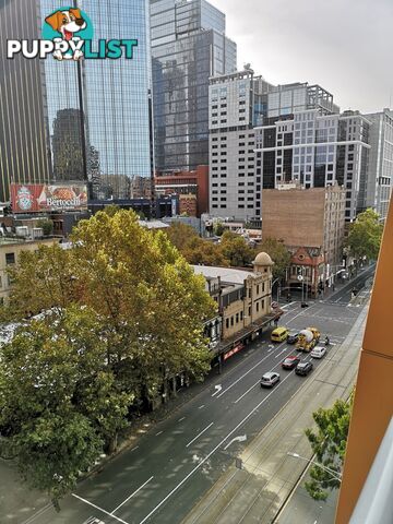 912/555 Flinders Street MELBOURNE VIC 3000