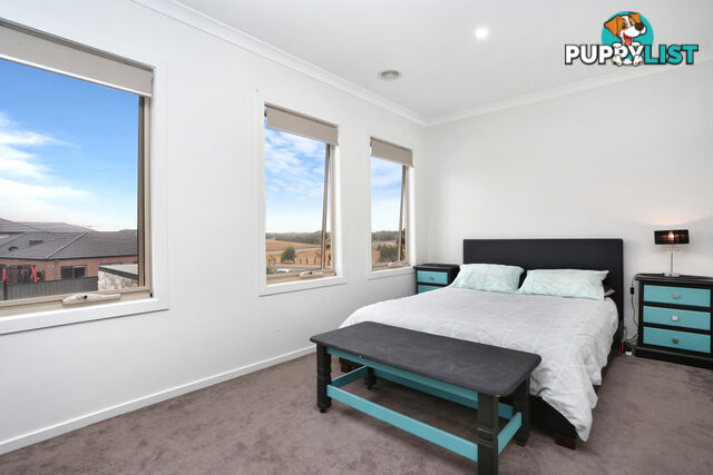 18 Tussock Road CRAIGIEBURN VIC 3064