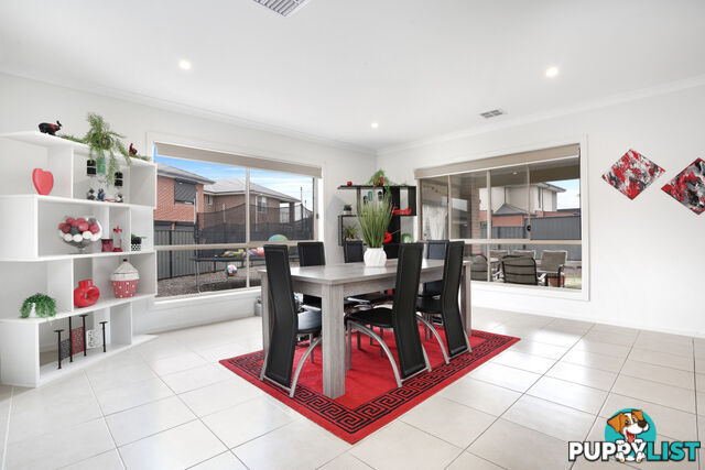 18 Tussock Road CRAIGIEBURN VIC 3064