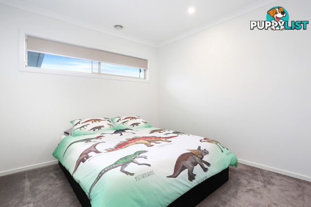 18 Tussock Road CRAIGIEBURN VIC 3064