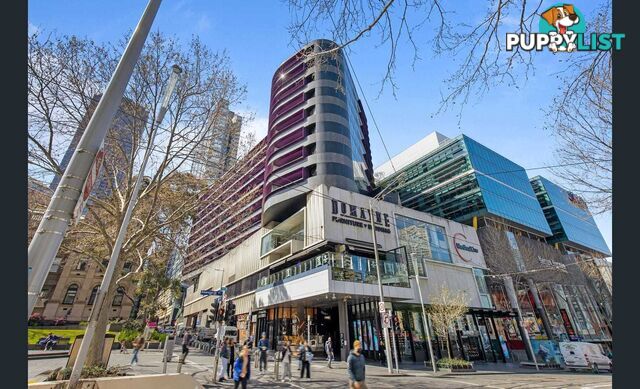 313/300 Swanston Street MELBOURNE VIC 3000