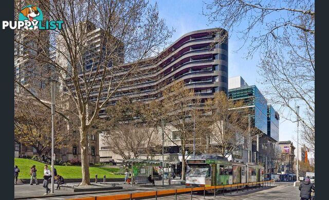 313/300 Swanston Street MELBOURNE VIC 3000