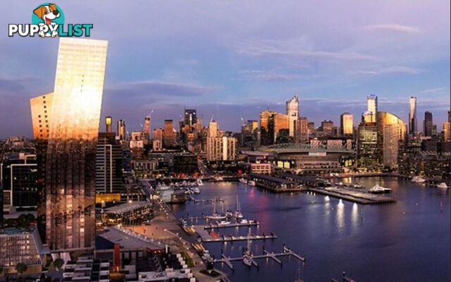 * Pearl River Road DOCKLANDS VIC 3008