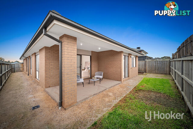 14 Beryl Crescent GREENVALE VIC 3059