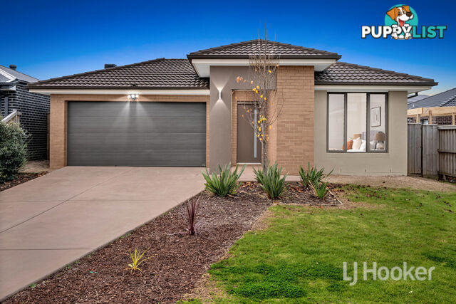 14 Beryl Crescent GREENVALE VIC 3059