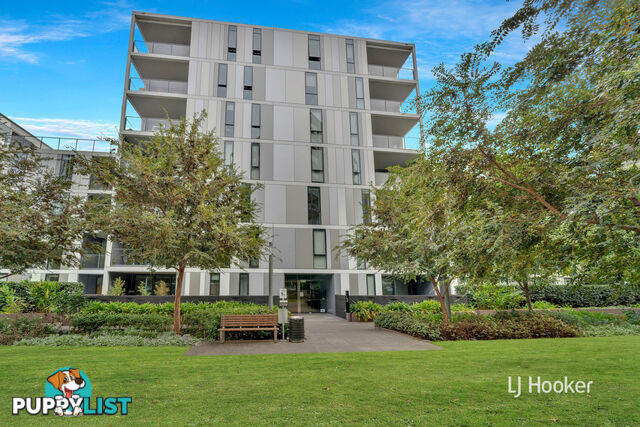 203/6B Evergreen Mews ARMADALE VIC 3143