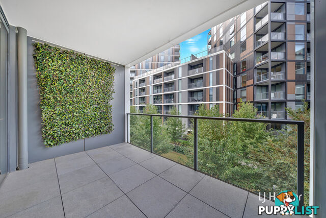 203/6B Evergreen Mews ARMADALE VIC 3143