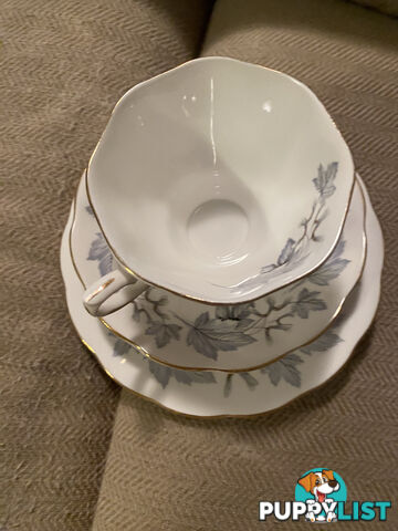 circa 1950 royal albert silver maple cup, saucer and plate