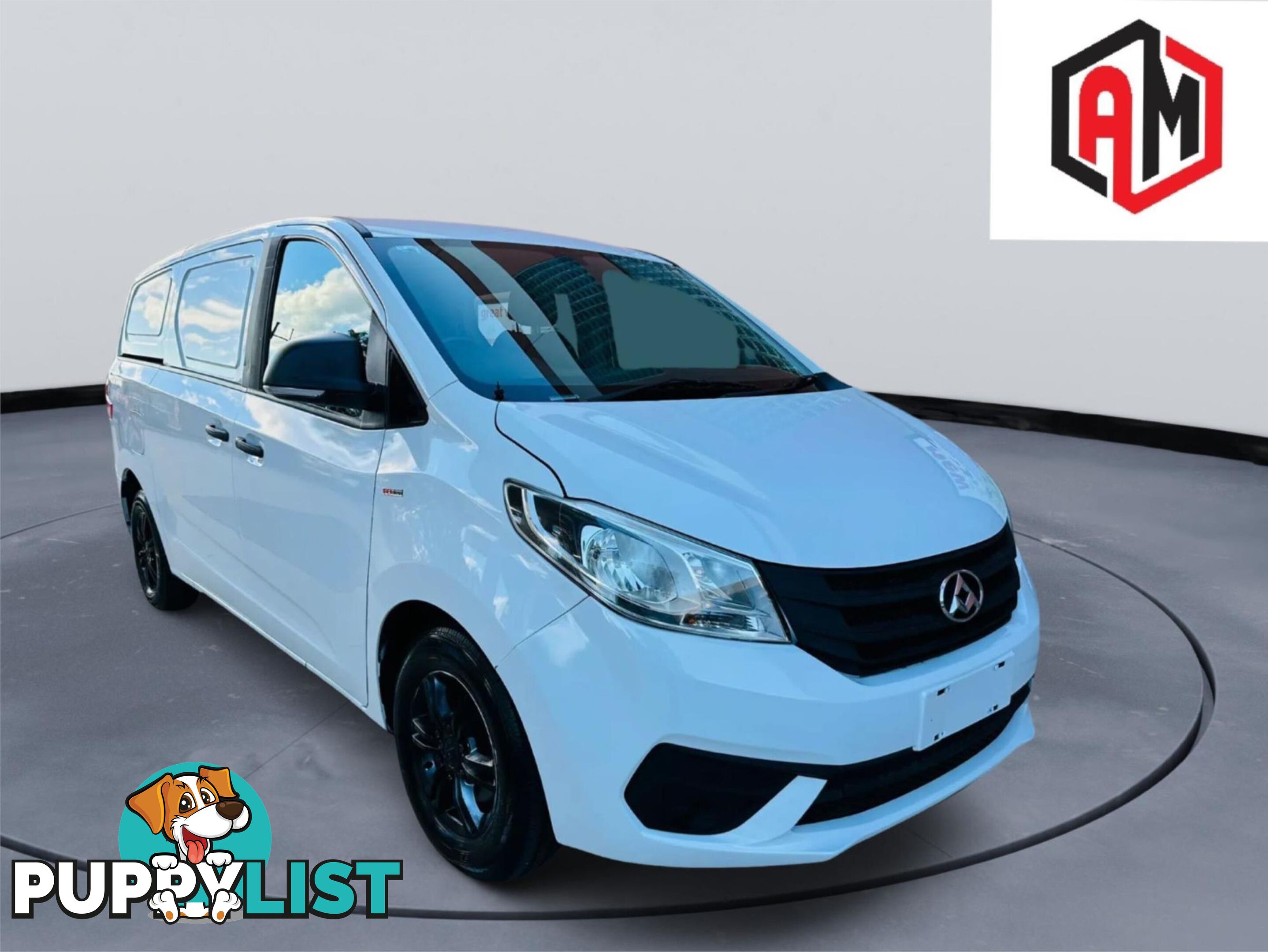 2021 LDV G10 BARNDOOR  4D VAN