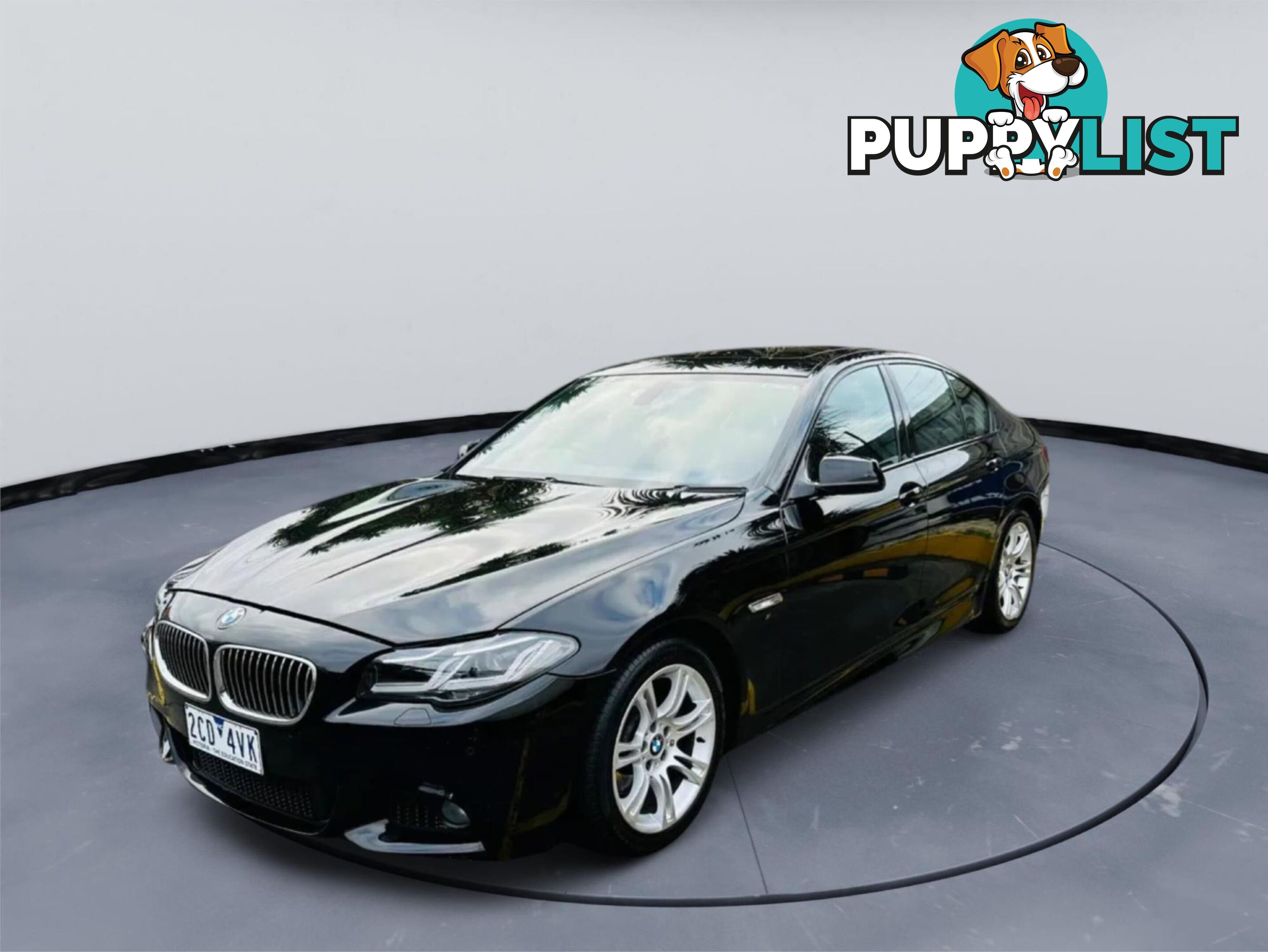 2011 BMW 5 20D  4D SEDAN