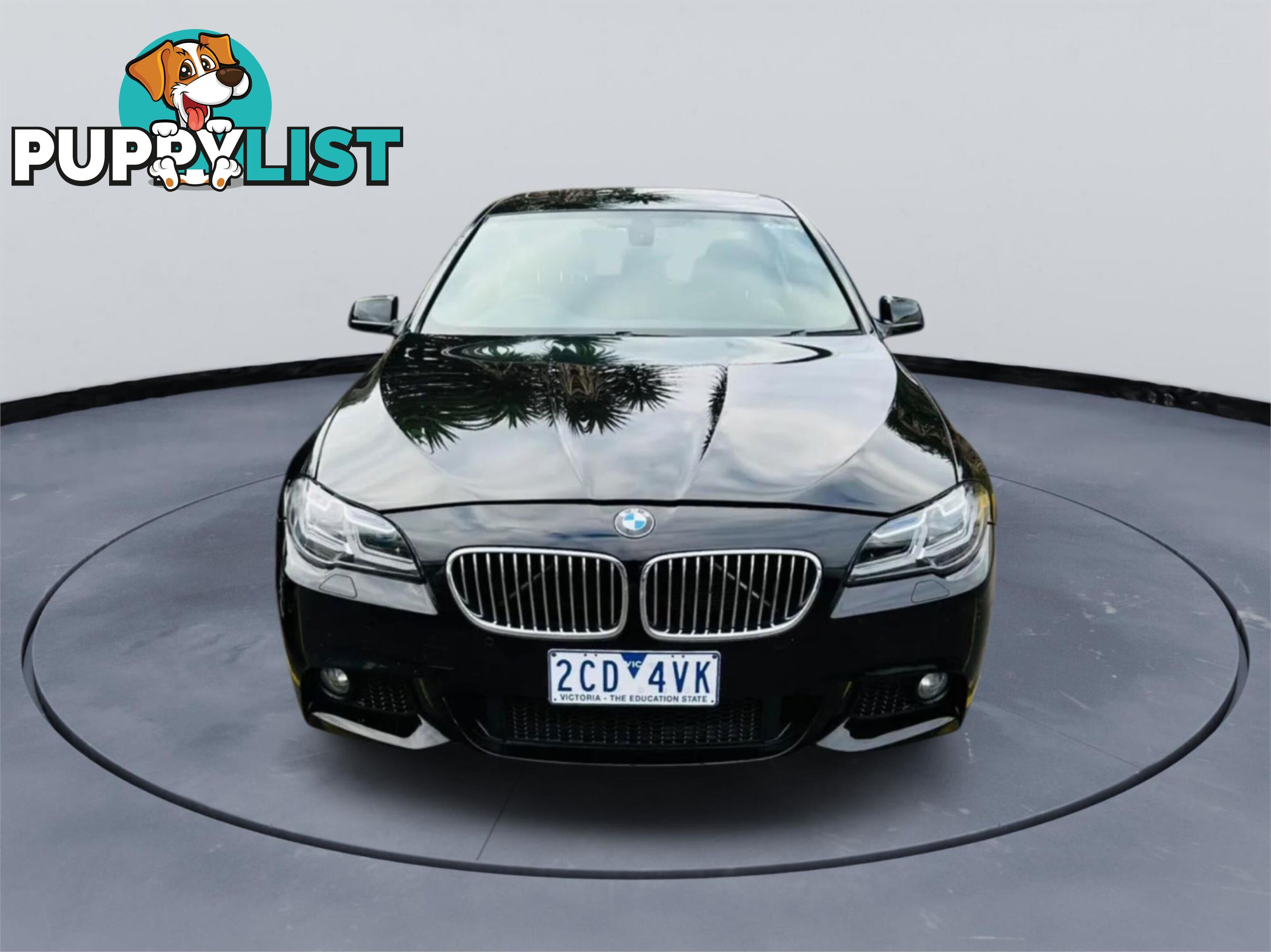 2011 BMW 5 20D  4D SEDAN