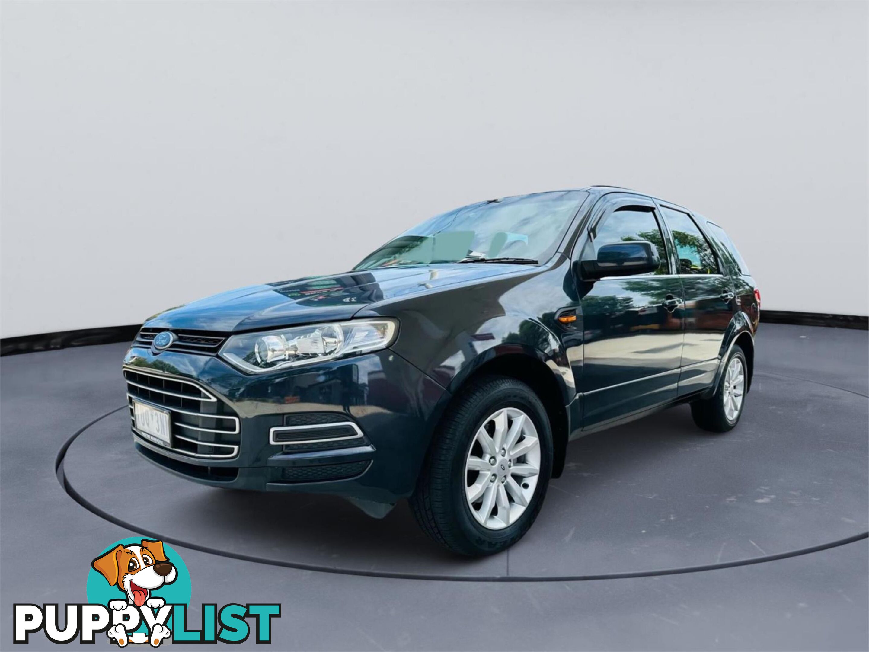 2012 FORD TERRITORY TX(RWD)  4D WAGON