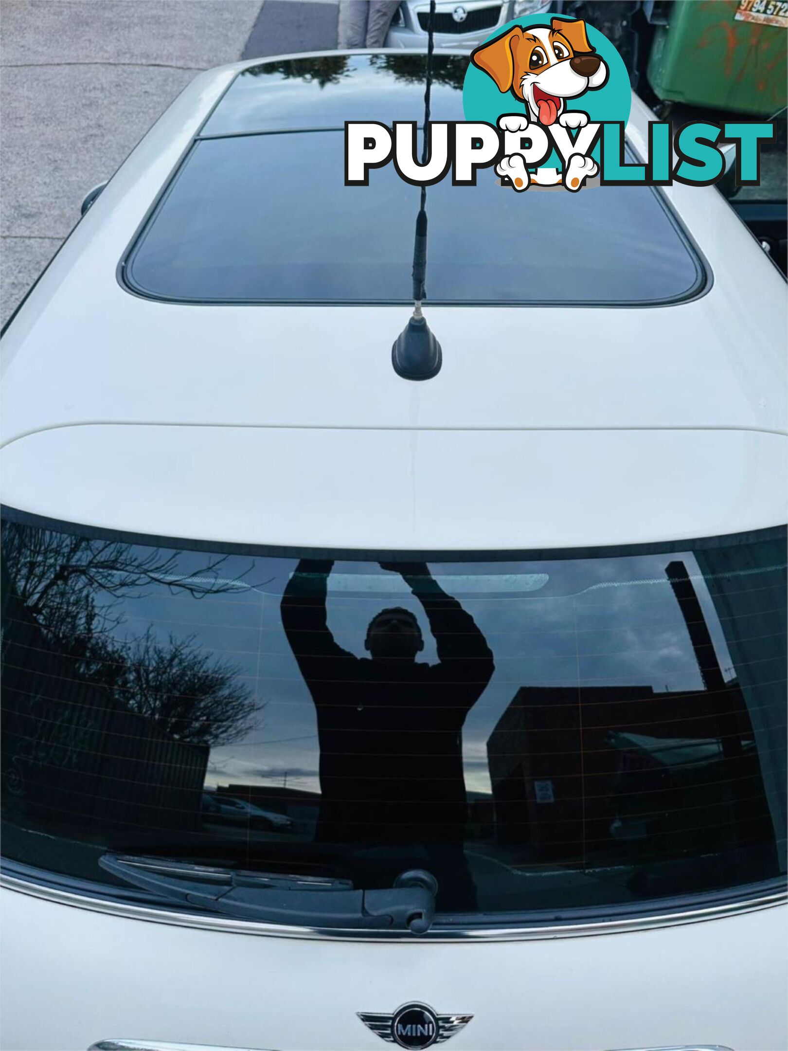 2008 MINI COOPER   2D HATCHBACK