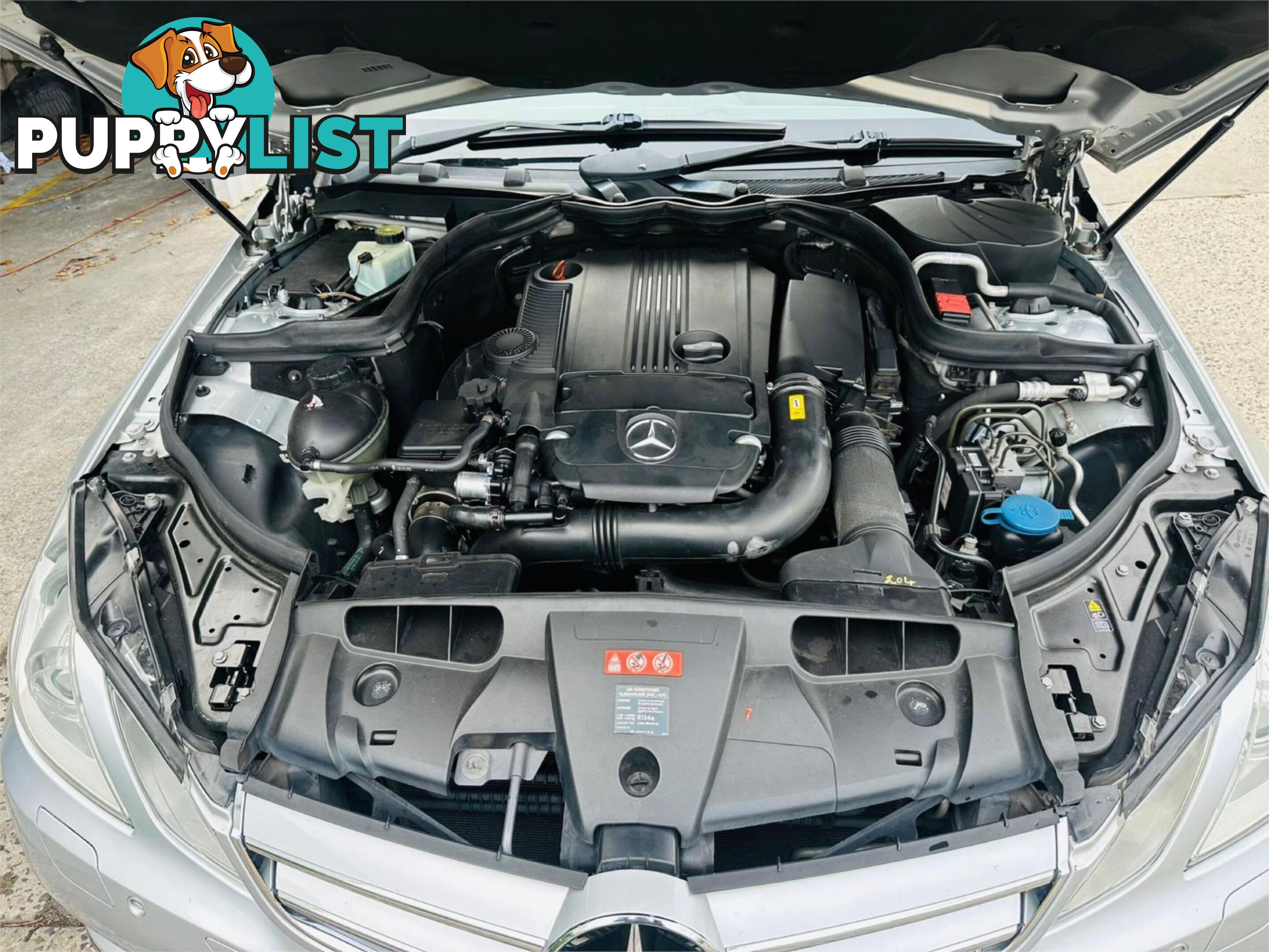 2010 MERCEDES-BENZ E250 CGIELEGANCE  2D CABRIOLET
