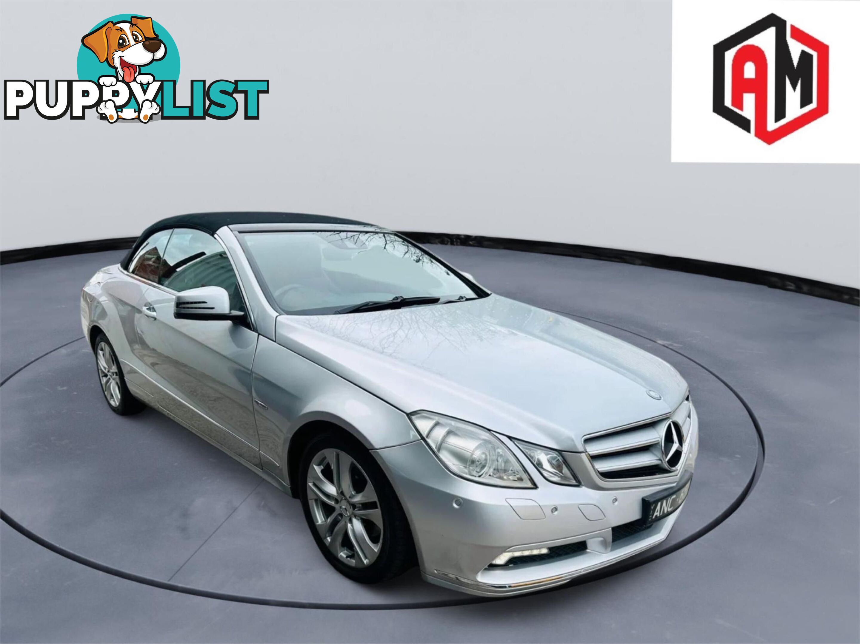 2010 MERCEDES-BENZ E250 CGIELEGANCE  2D CABRIOLET