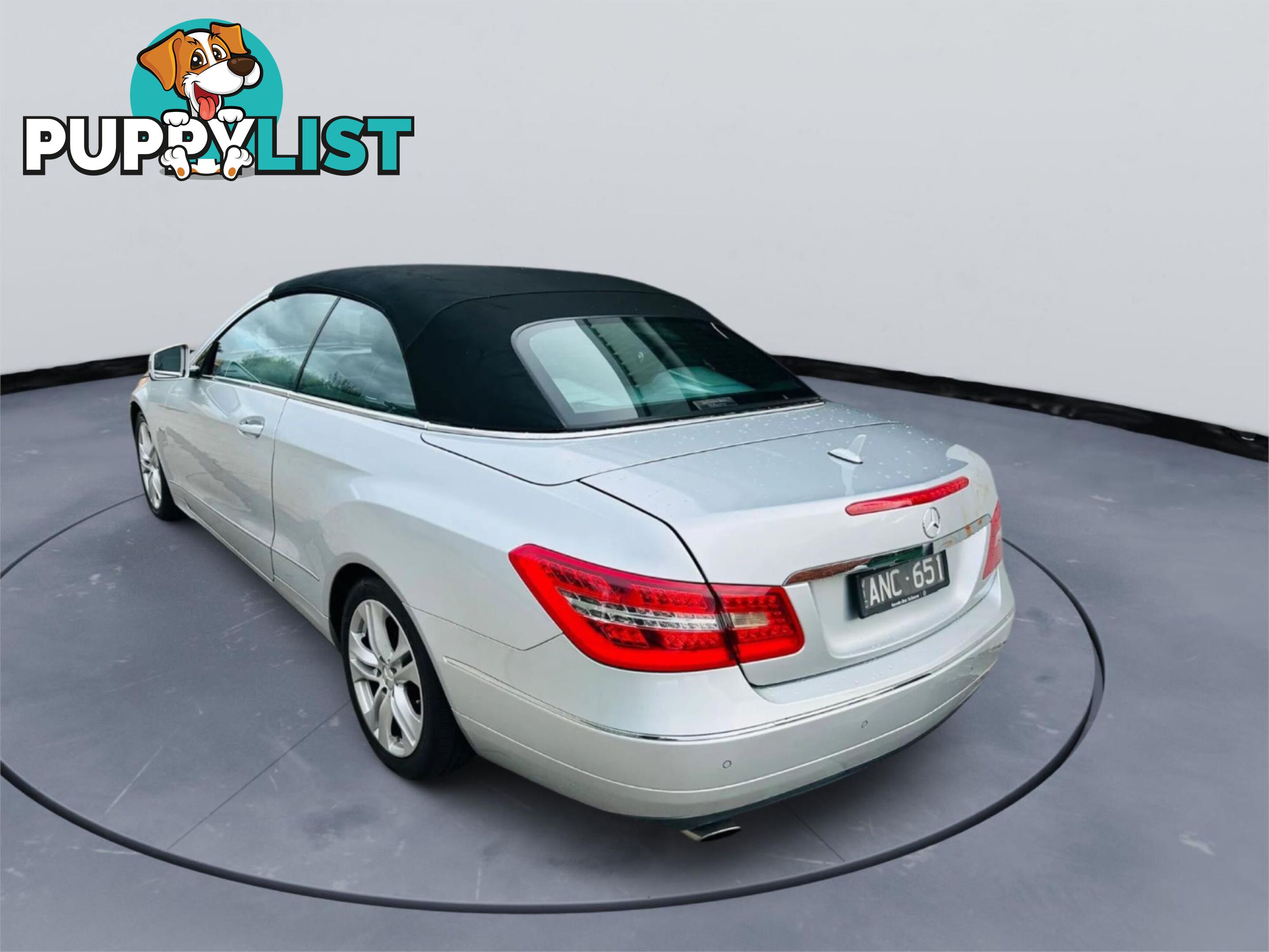 2010 MERCEDES-BENZ E250 CGIELEGANCE  2D CABRIOLET