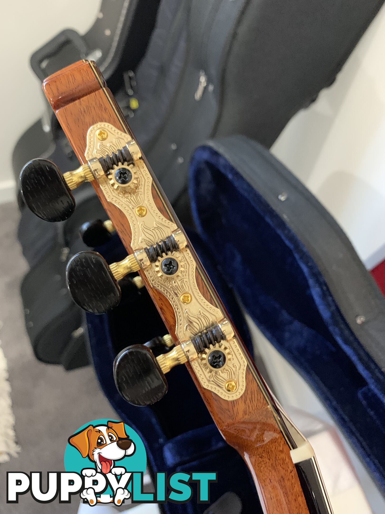 All Solid Classical Guitar