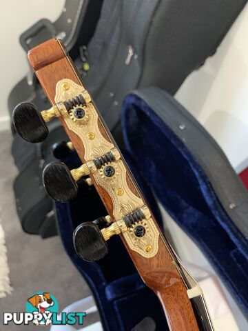 All Solid Classical Guitar