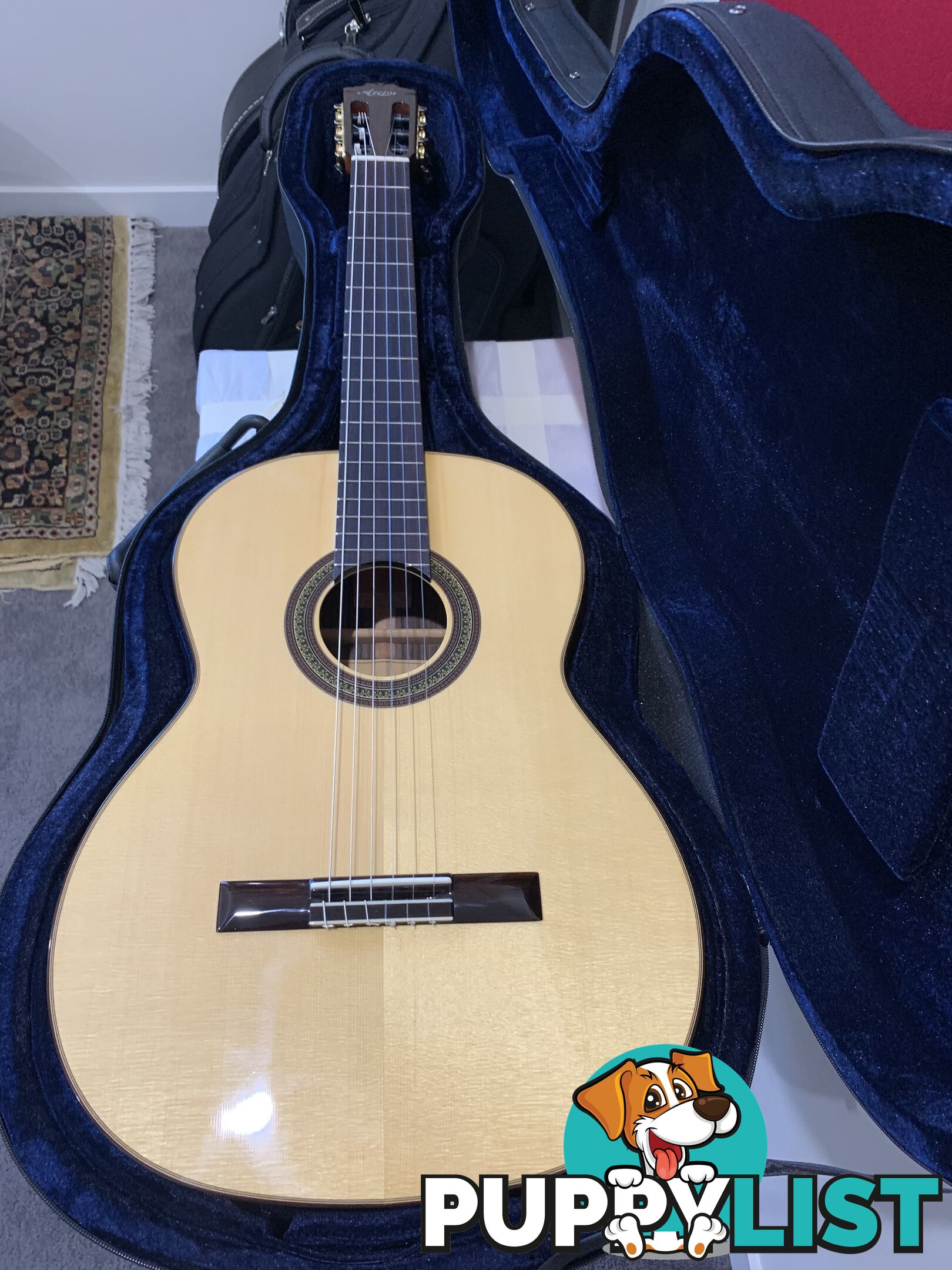 All Solid Classical Guitar
