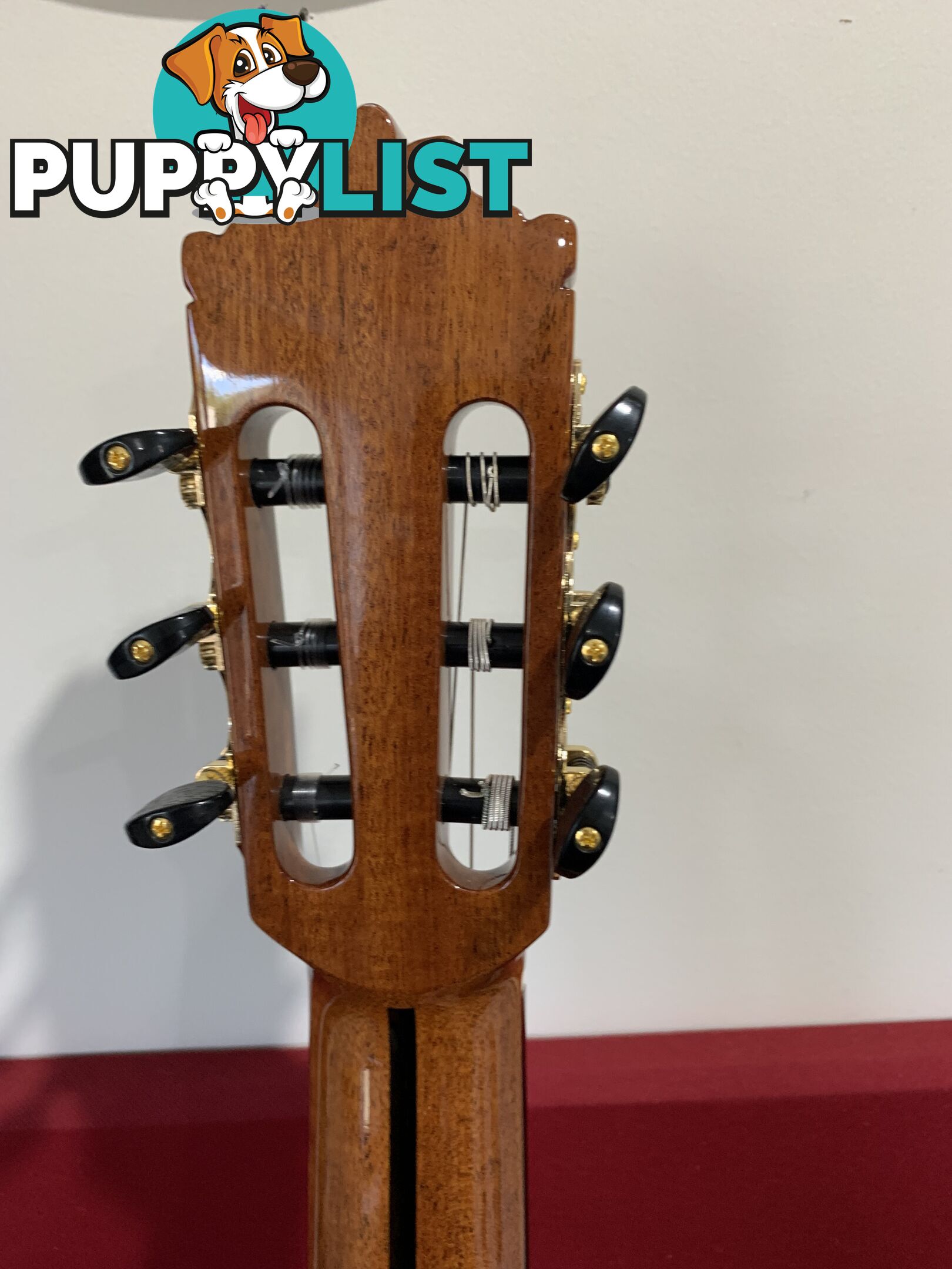 All Solid Classical Guitar