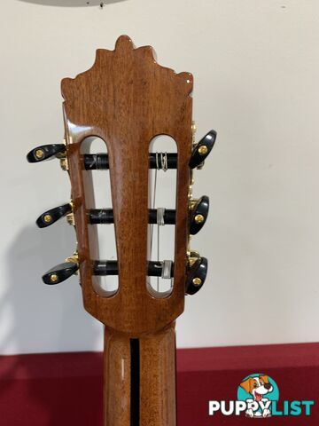 All Solid Classical Guitar
