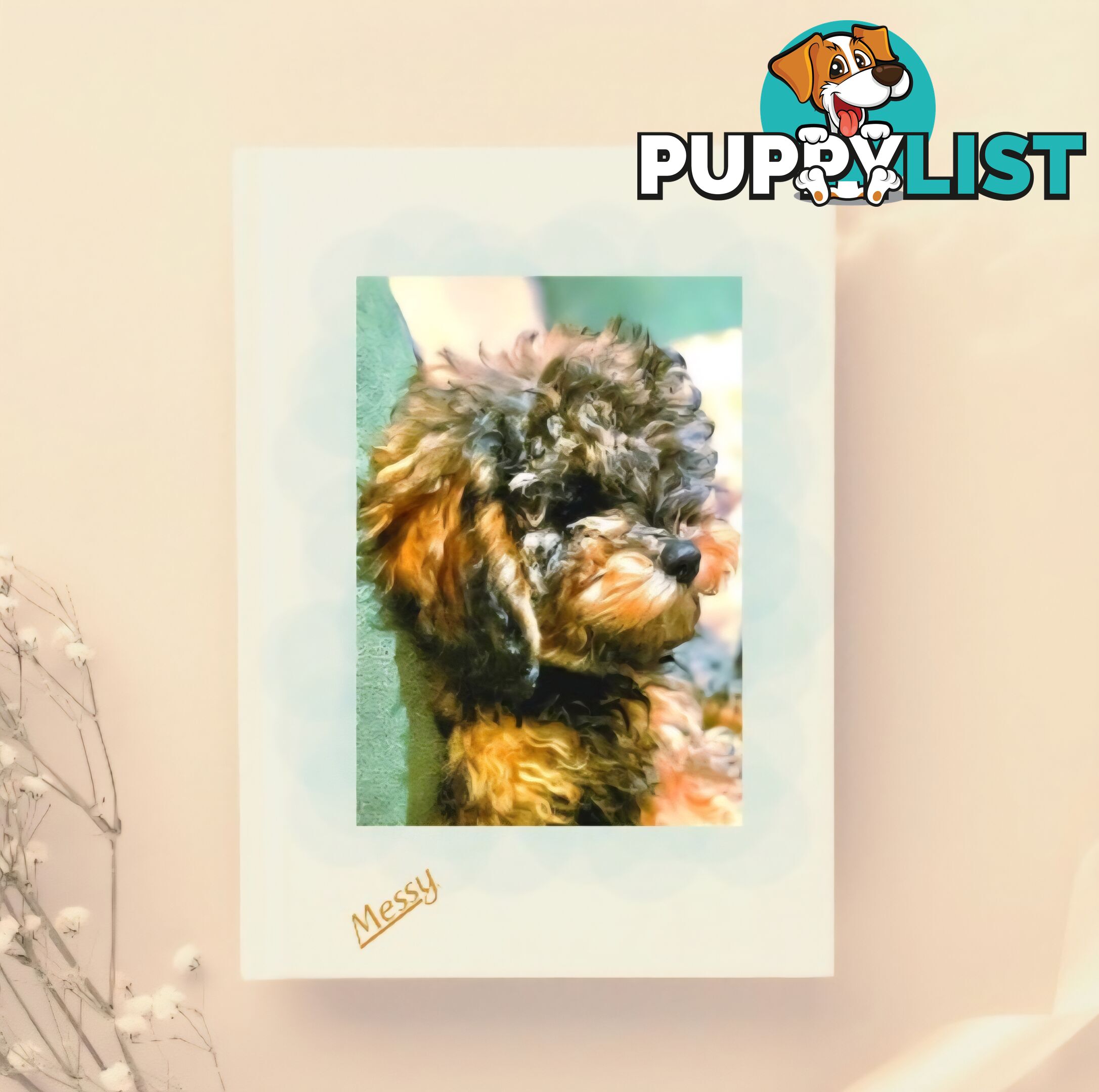 Firstborn, Final Pup – Your Perfect Toy Cavoodle Companion Awaits!