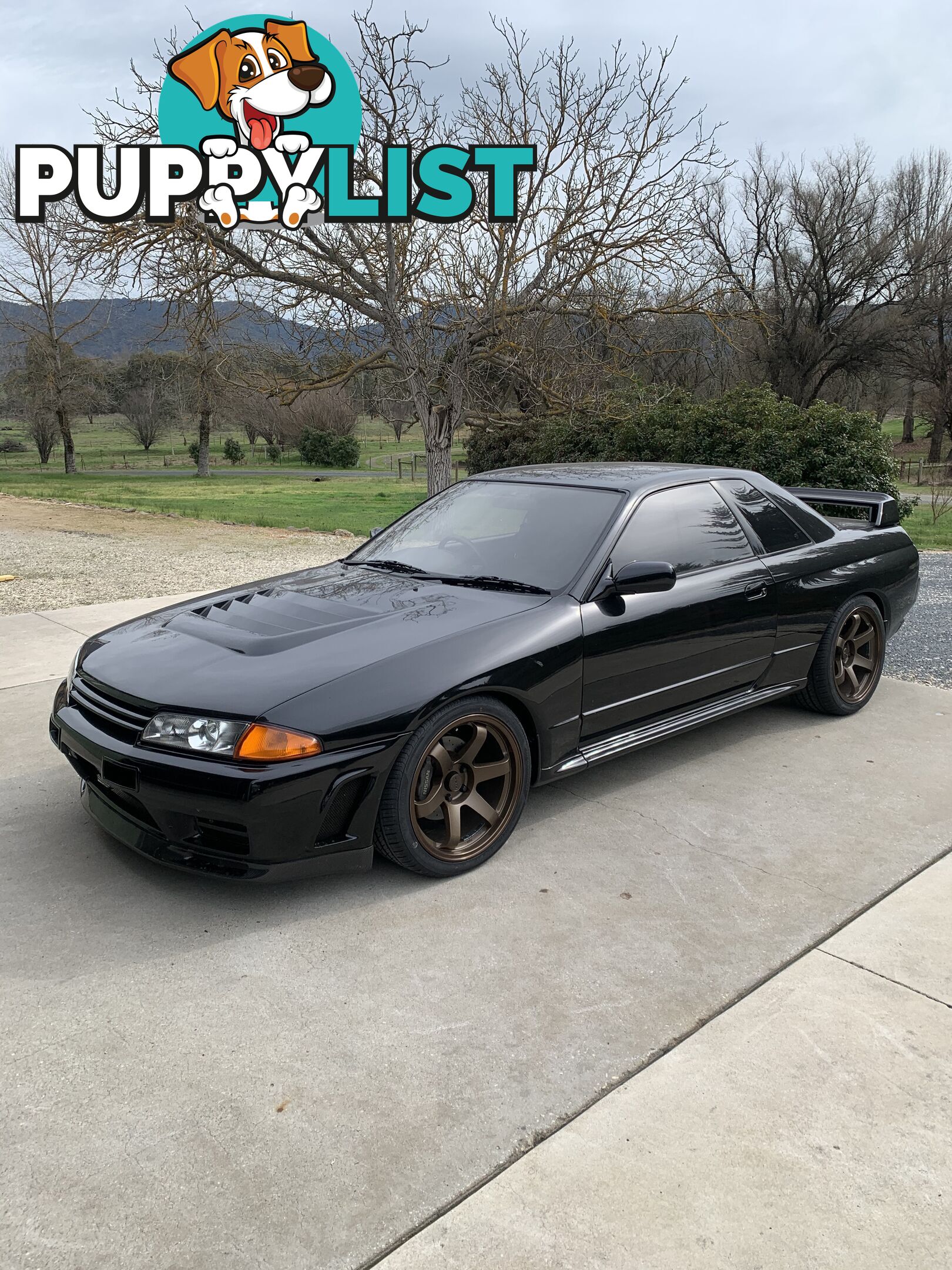 1992 Nissan Skyline R32 GTR Coupe Manual