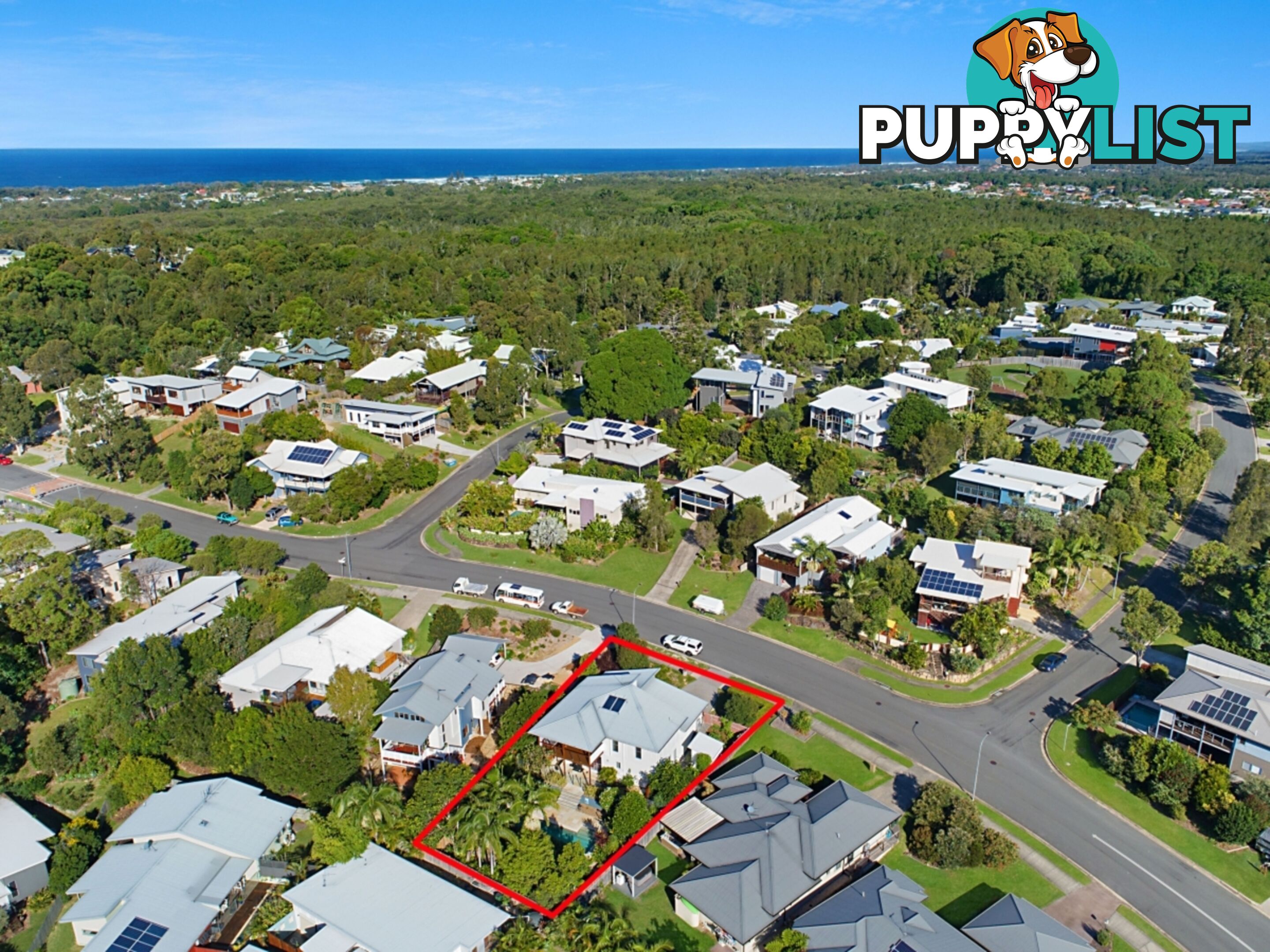 64 Sassafras Street Pottsville NSW 2489