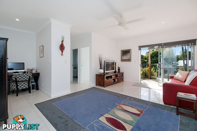 64 Sassafras Street Pottsville NSW 2489