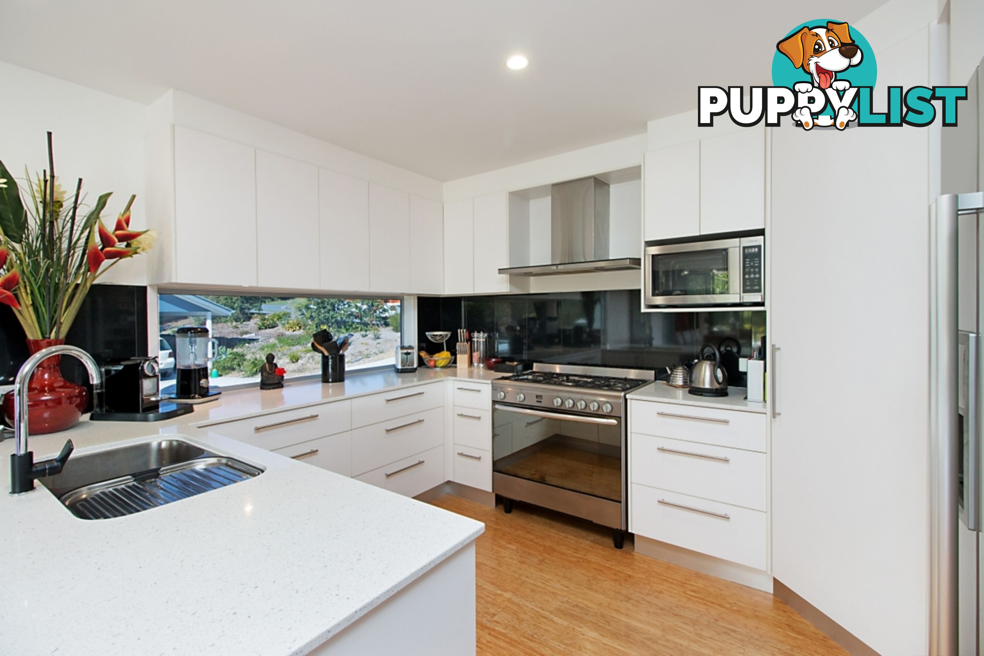 64 Sassafras Street Pottsville NSW 2489