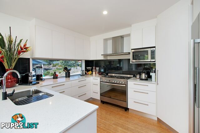 64 Sassafras Street Pottsville NSW 2489