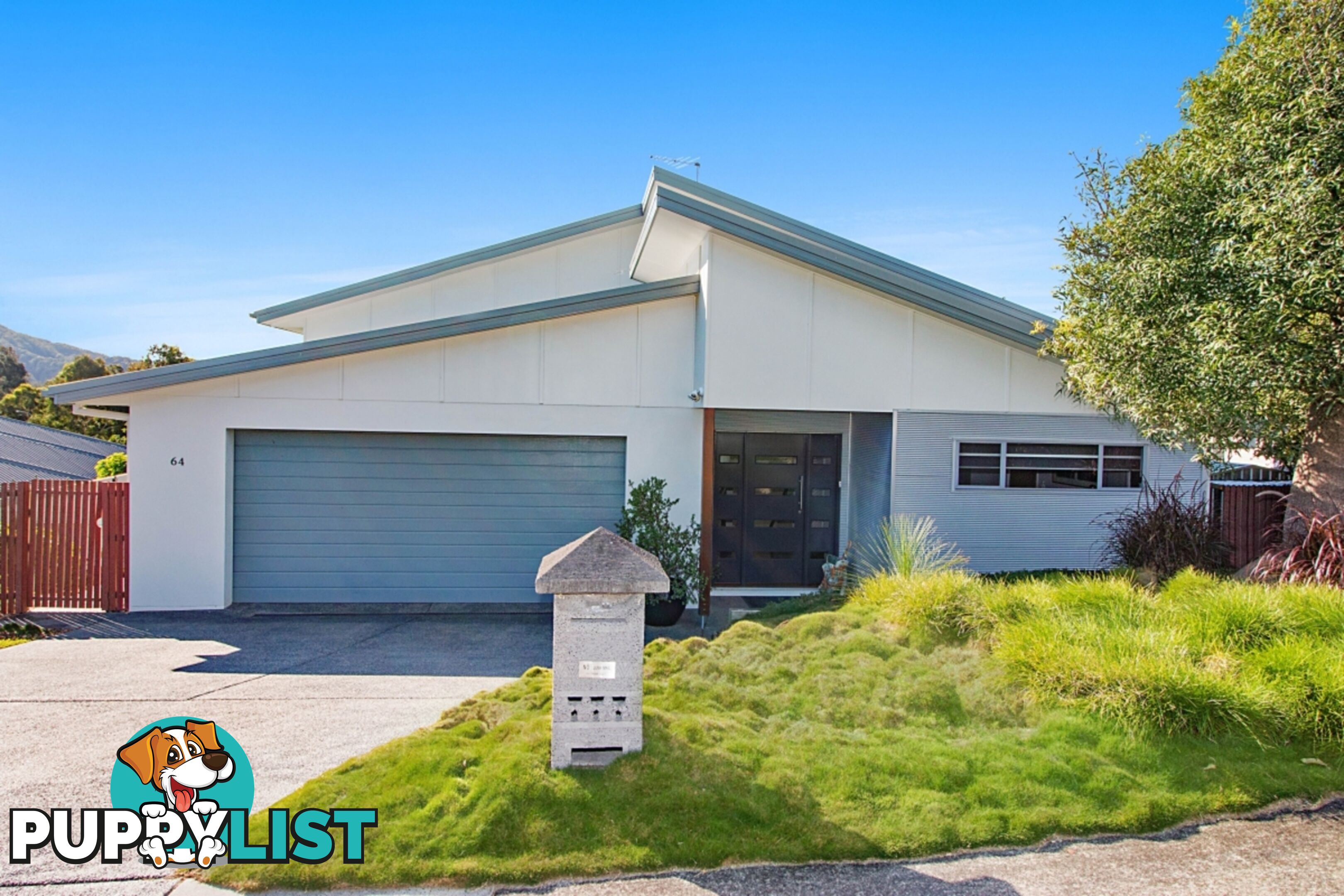 64 Sassafras Street Pottsville NSW 2489