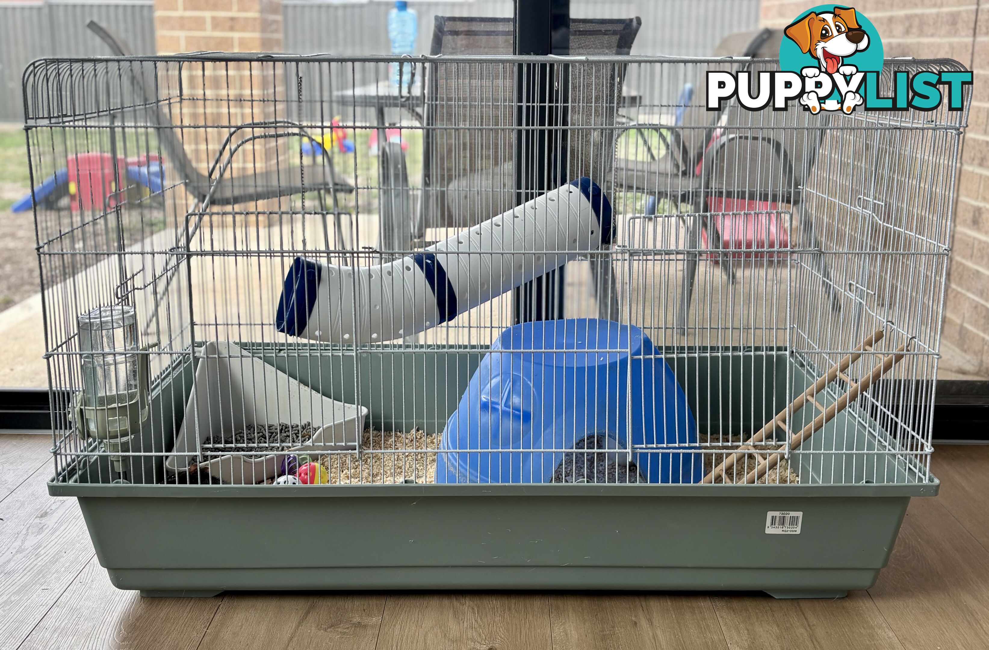 FREE X2 male rats with cage and accessories