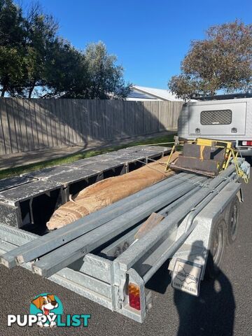 Galvanised Tandom Trailer with Stage