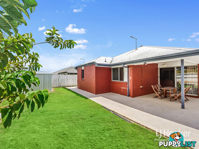 60 Elderflower Circuit GRIFFIN QLD 4503