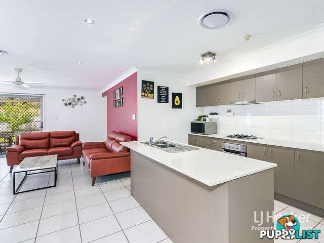 60 Elderflower Circuit GRIFFIN QLD 4503