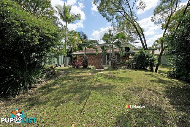 19 Eyre Avenue PETRIE QLD 4502