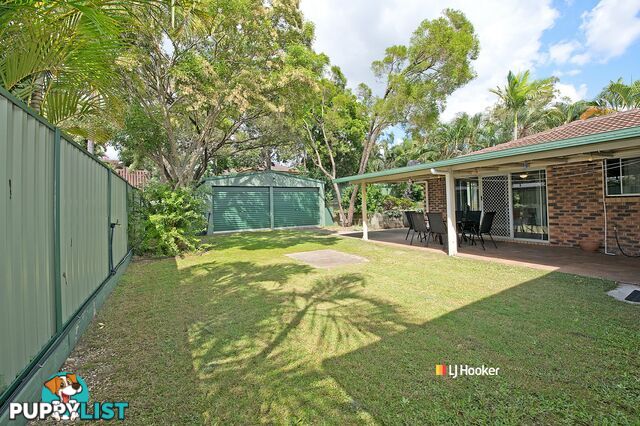 19 Eyre Avenue PETRIE QLD 4502