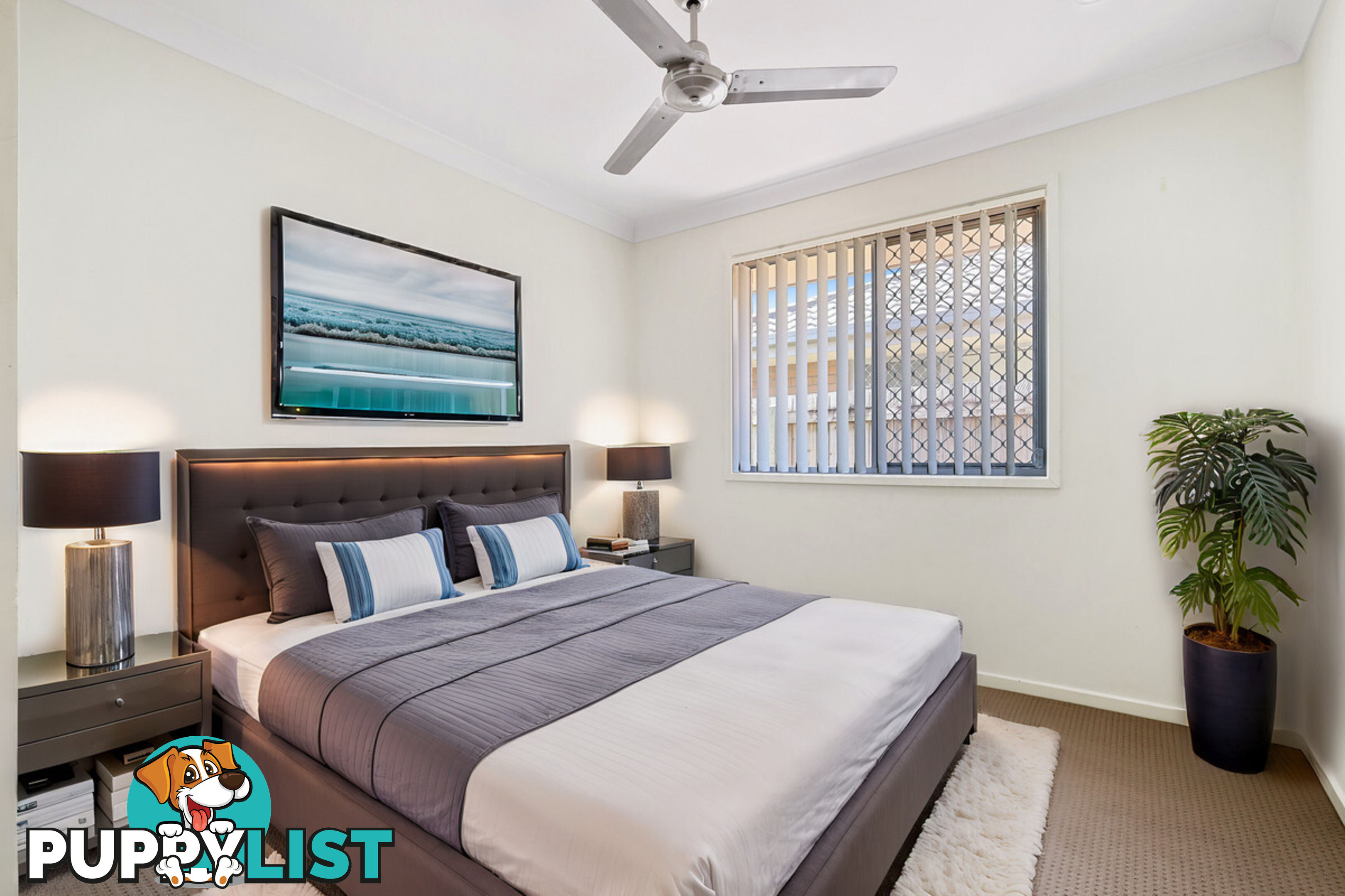 81 Surround Street DAKABIN QLD 4503