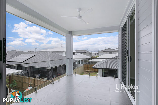 14 Tiffany Street NEWPORT QLD 4020