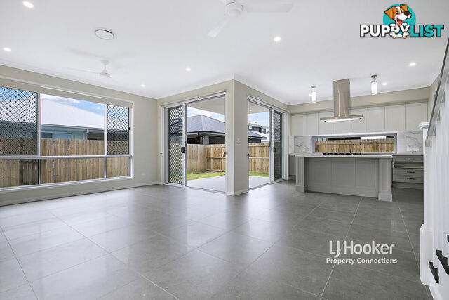 14 Tiffany Street NEWPORT QLD 4020