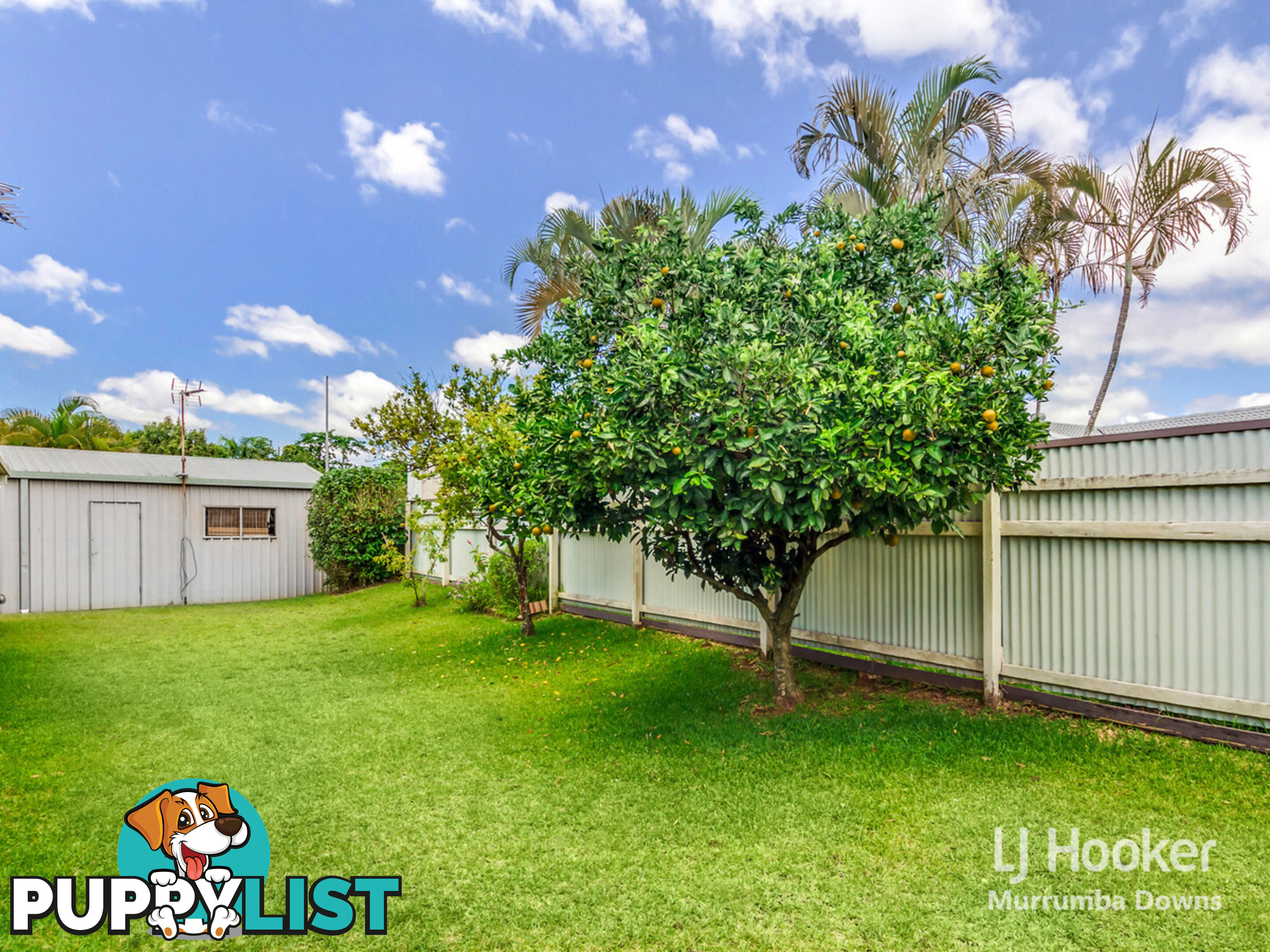 17 Lenae Court MURRUMBA DOWNS QLD 4503