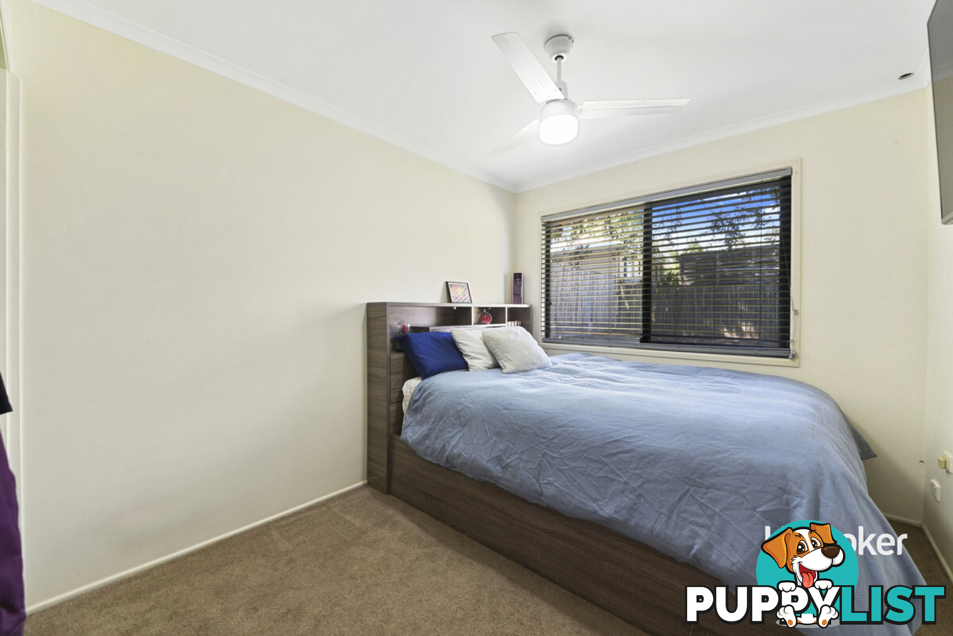 19 May Street MANGO HILL QLD 4509