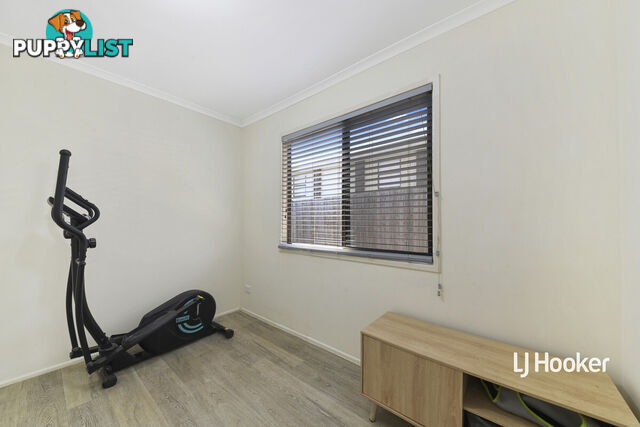 19 May Street MANGO HILL QLD 4509