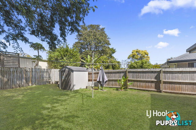 19 May Street MANGO HILL QLD 4509