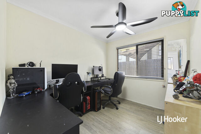 19 May Street MANGO HILL QLD 4509