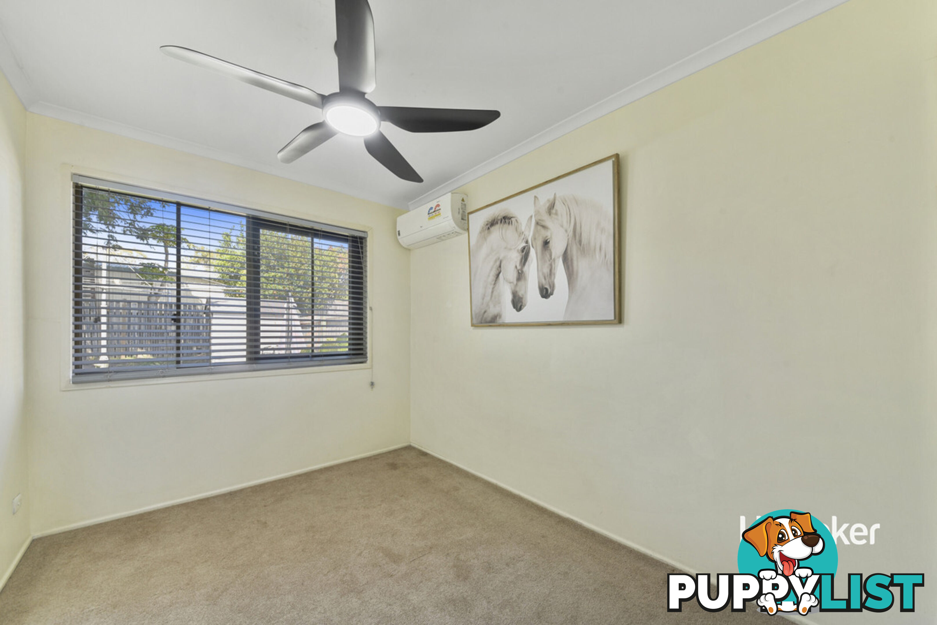 19 May Street MANGO HILL QLD 4509